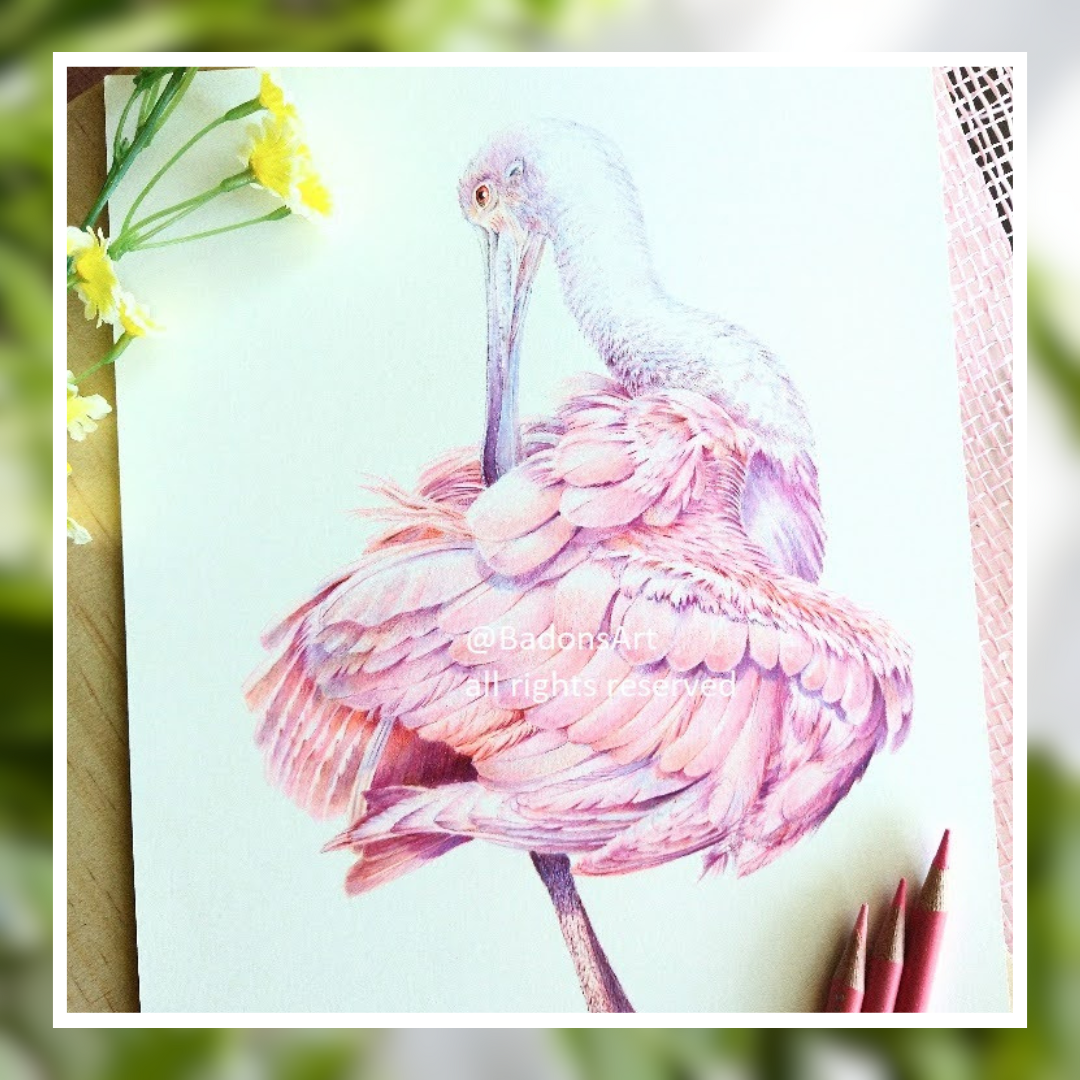 Roseate spoonbill original artwork